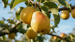 ֹ(ji)(sh)Sչ@r(nng)I(y)ժ