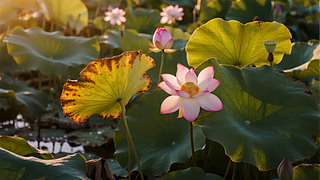 С(ji)ɻʢ_(ki)UL(fng)