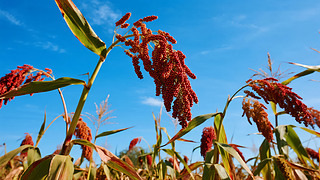 ﹝(ji)r(nng)uڻҰ{(ln)r(nng)I(y)