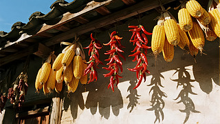 ﹝(ji)Sr(nng)ԺD