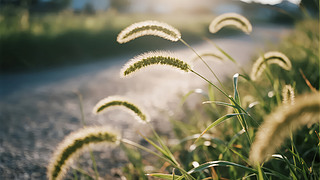 ̎(ji)⹷βl(xing)·ȻD