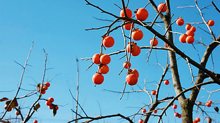 ﹝(ji)Ӓ֦^＾ˮSձ