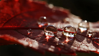 ̎(ji)ռt~¶ΨyƷ