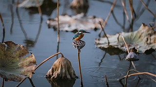 ¶(ji)⚈ ήUL(fng)D