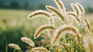 ̎r(sh)(ji)βͲꖹҰȻΨ