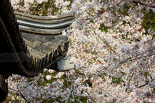 Ї(gu)o(w)ax^侙ѻL(fng)،