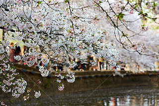 Ї(gu)o(w)ax^侙ѻL(fng)،