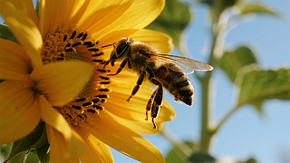 С(ji)۷տȻB(ti)D