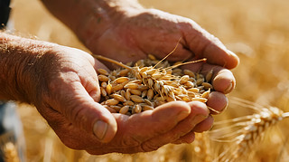 ﹝(ji)СZʳSr(nng)I(y)ж