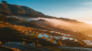 ﹝(ji)ճƺr(nng)I(y)L(fng)ⱳ