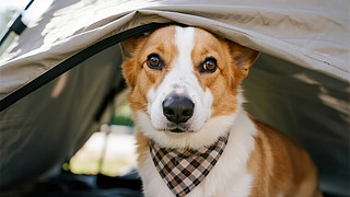 С(ji)⌙ﹷ¶IɐȌ