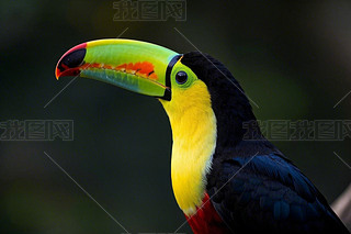 ɫrGB๺ɫ๼tɫ͈DƬ