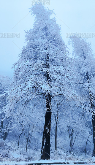 պϺɽL(fng)^(q)FڡzӰD