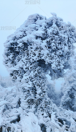 պϺɽL(fng)^(q)FڡzӰD