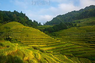 Ї(gu)Ͼݿӿͼˮ@L(fng)