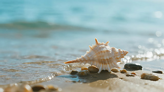 С(ji)⺣ɳնȼα