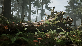 ԭʼɭާֲ̦\GɫB(ti)ɱ