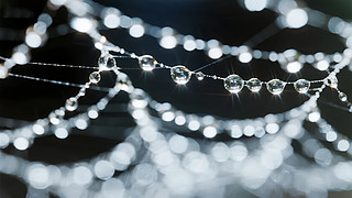 ̎(ji)֩W(wng)¶鴮(lin)W(wng)j(lu)Ƽб