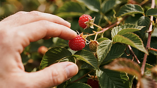 С(ji)ժݮˮr(nng)I(y)@w򞱳