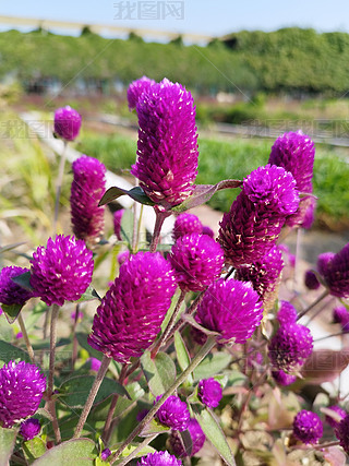 ɫǧռt䅲ھG~g⾰^،