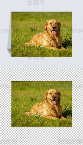 ëȮ?dng)zӰƬëɐƬ΢Ц΢ЦëƬ