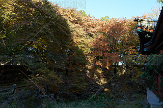 ЇU͈@CȤ@Ո@ֹŽꖹL(fng)