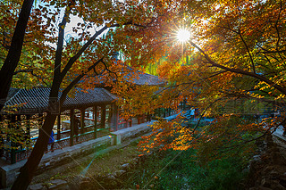 ЇU͈@CȤ@Ո@ֹŽꖹL(fng)