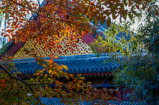 ЇU͈@CȤ@Ո@ֹŽꖹL(fng)