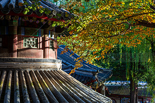 ЇU͈@CȤ@Ո@ֹŽꖹL(fng)