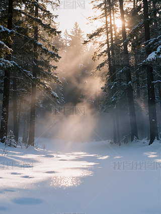 ѩɭѩ(yng)͸̄(w)ز