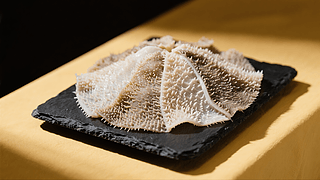 ʳζҹV(bo)DVʳDƬ