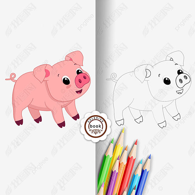 pig clipart black and white ڰ߸ɰͿɫ