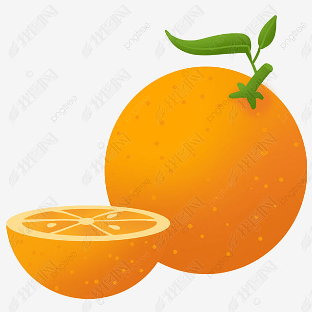 ɫȼֻorangeclipartˮ