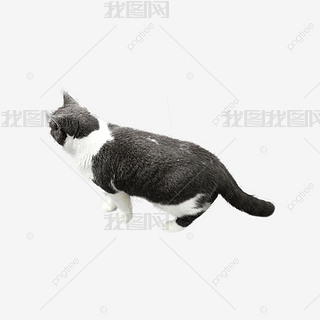 ɐ۵С؈