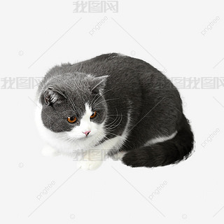 ɐС؈