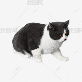 ɐ(i)С؈