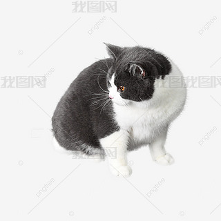 ^ĿɐС؈