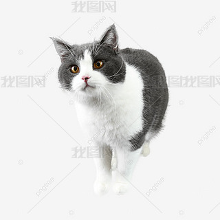 ɐ۵ȌС؈