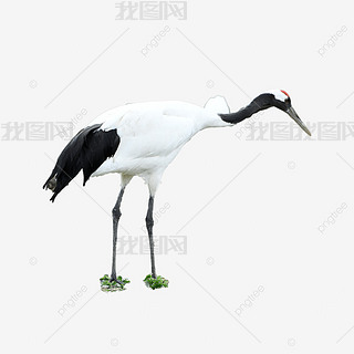 ëք@Q