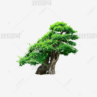 SС͘ˇg(sh)ɾGֲ辰