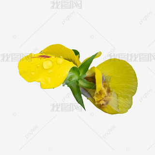 ɫSȻ_