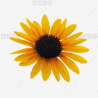 տֲ،