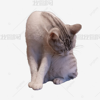 ؈ɫ｡С؈