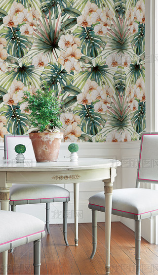 F(xin)srПᎧֲﻨܱڼ