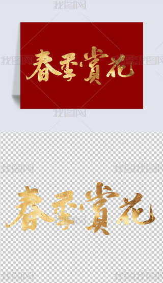ˇg