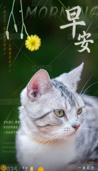 簲10