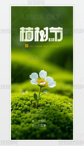 312ֲ九Ƭ
