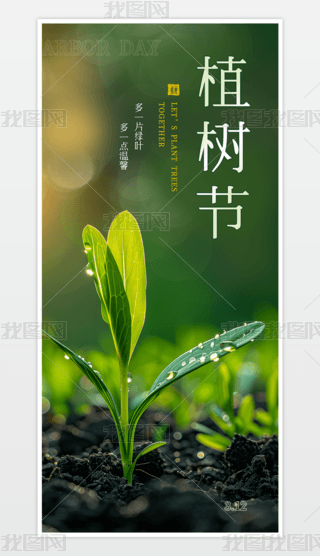 312ֲ九Ƭ