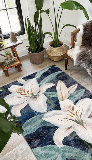 W󻨻̺ܵ͏d̺ɳl(f)̺D