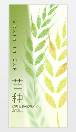 âN(bo)ʮĹ(ji)⺣(bo)캣(bo)